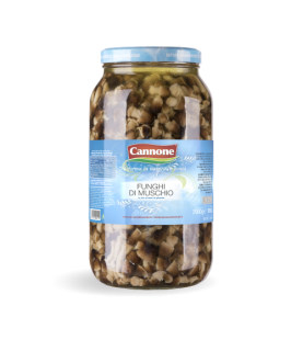 FUNGHI MUSCHIO ODG VV KG...