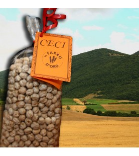 CECI SECCHI GR 500