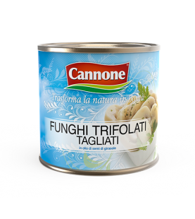 FUNGHI TAGLIATI OLIO LATTA...