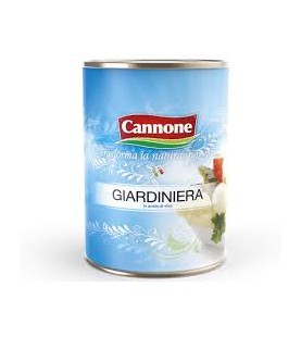 GIARDINIERA ACETO LATTA KG 3