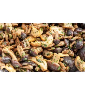 FUNGHI CHIODINI TRIFOLATI...