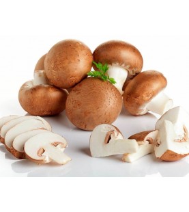 FUNGHI CHAMPIGNON KG 1 SG