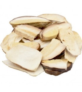 FUNGHI PORCINI FETTE KG 1 SG