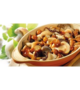 MISTO FUNGHI EXTRA KG 1 SG