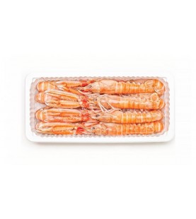 SCAMPI 7-12 GR 700 SG