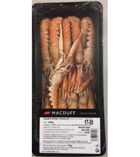 SCAMPI 17-20 GR 700 SG