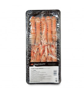 SCAMPI 31-40 GR 700 SG