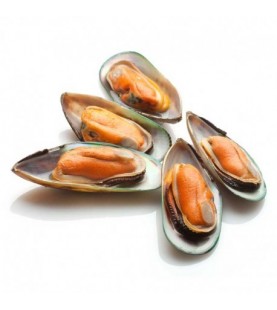 COZZE MEZZO GUSCIO GR 900 SG