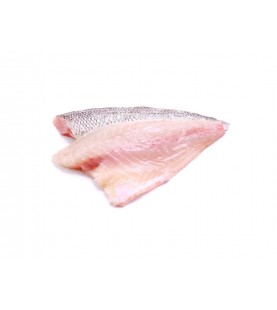 FILETTI SPIGOLA (BRANZINO)...