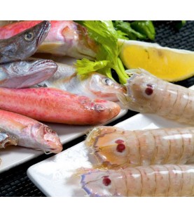 MISCUGLIO PESCI FRITTURA GR...