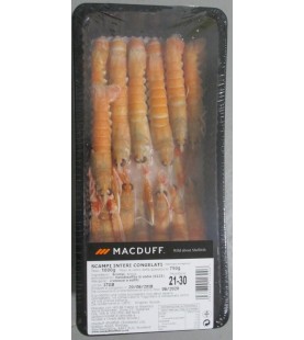 SCAMPI 21-30 GR 400 SG