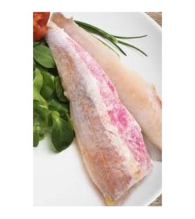 FILETTI GALLINELLA GR 800 SG
