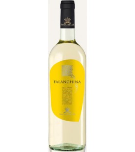 FALANGHINA ML 750 DACASTELLO