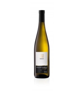 MULLER THURGAU FESTIVAL DOC...